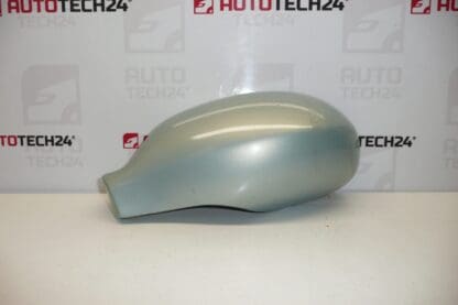 Cover for left mirror Citroën C5 color LQHC 815255