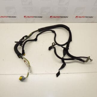 Harness Citroën Peugeot 2.0HDI RHR 1401182180 1401441580 5642SP