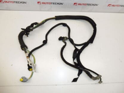 Harness Citroën Peugeot 2.0HDI RHR 1401182180 1401441580 5642SP