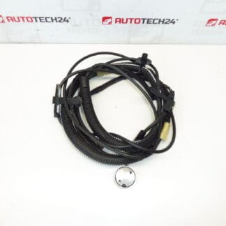 Antenna wiring Citroën C3 Pluriel 964515948002 6561Q8