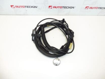 Antenna wiring Citroën C3 Pluriel 964515948002 6561Q8