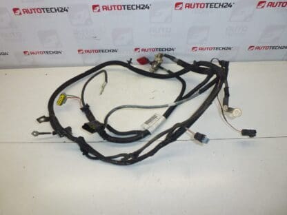 Engine harness Peugeot 207 1.4i KFT 9671236780