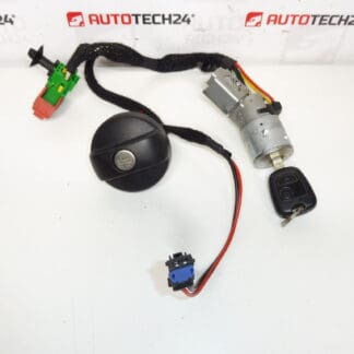 Switch box, tank cap, 1 key Peugeot 307 4162AS 4162X4