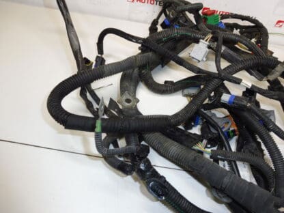 Engine harness Peugeot 206+ 1.4i KFT 9670618880 6585P6