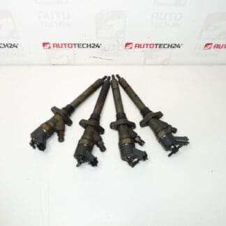 Injection set Bosch 2.0 and 2.2 HDI 0445110036 mileage 182000 km