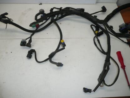 Engine harness Peugeot 207 1.4i KFT 9674808180 9675247080