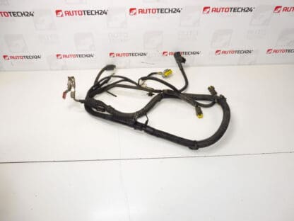 Citroën Peugeot 2.2 HDI 9657990880 harness