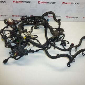 Citroën C4 Picasso Main Engine Harness 9674051780 9670855680 6585L0