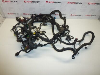 Citroën C4 Picasso Main Engine Harness 9674051780 9670855680 6585L0