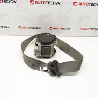 Citroën Xsara Picasso Left Front Belt 96314387GW 8973LH