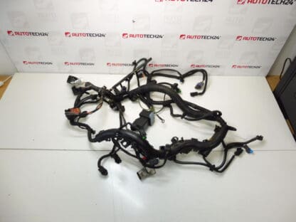 Engine harness Peugeot 307 2.0 HDI 9663581780 9663581680 6569FH