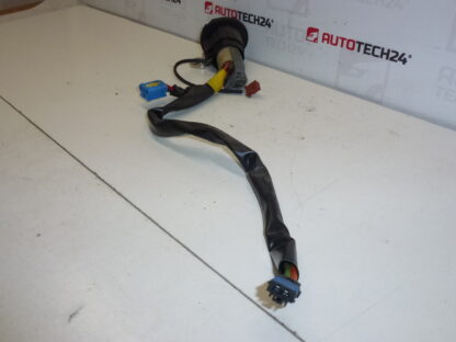 Switch box + 1 key Peugeot 206 4162Z1