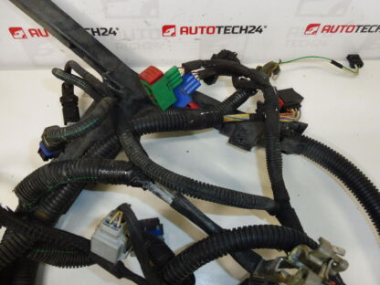 Engine harness Peugeot 206+ 1.4i KFT 9670618880 6585P6